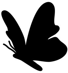 butterfly silhouette decoration