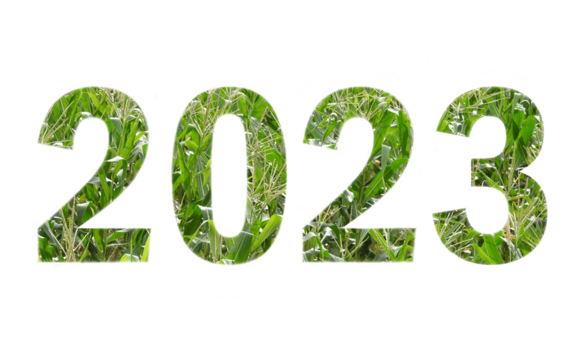 Inscription 2023 with corn plant background