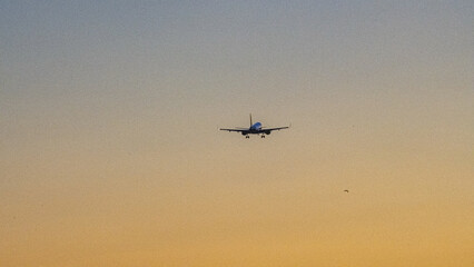 Avion en phase d'atterrissage à l'aéroport de Nice Côte d'Azur dans le coucher de soleil