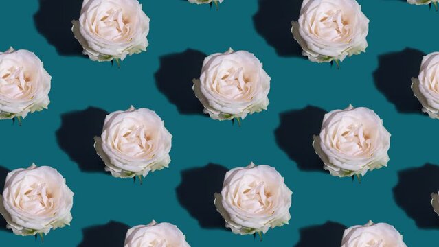 Animated background with white rose pattern on a green backdrop. Creative flower animation. High quality 4k footage