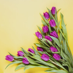 Bouquet of pink tulips. Beautiful romantic bouquet of pink tulips on the yellow background. Congratulations on March 8, Birthday, Mother's Day, Valentines day