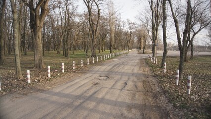 Metal pillars fence the road in the park