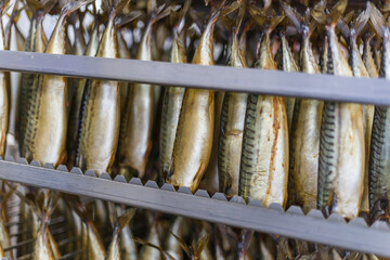 Closeup view of smoked mackerel in factory oven.