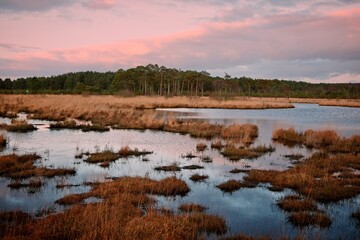 Obraz premium Pudmore Pond on Thursley Common, Surrey, UK.
