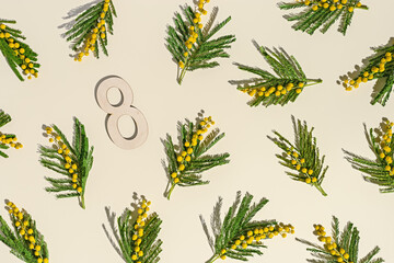 Spring flower flat lay photo pattern, yellow mimosa branches and number 8 on beige, floral...
