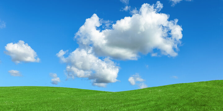 Green grass and blue sky with white cloud, beauty nature background, wide banner. Perfect summer field, hill, grassland. Nature environment landscape, lush green grass meadow, blue sky cloudy
