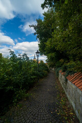 Landscape with St. Mary's Church in Hörstel, Germany