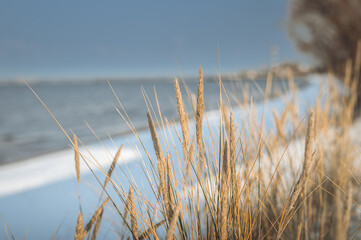 Fototapeta premium Frosty winter morning at Baltic sea shore in Riga. Beautiful landscape of seaside covered in snow and ice.