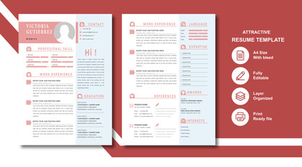Attractive Resume Template For Job Seekers