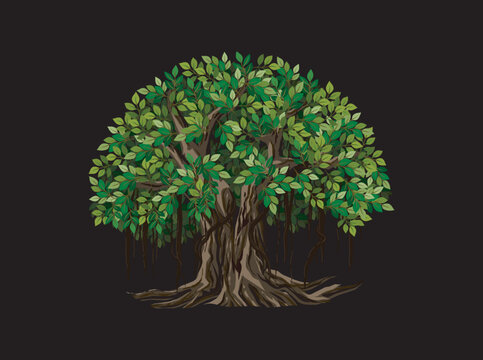 banyan tree vector