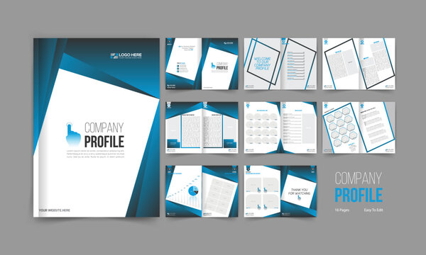 vector made company profile design for you and any use