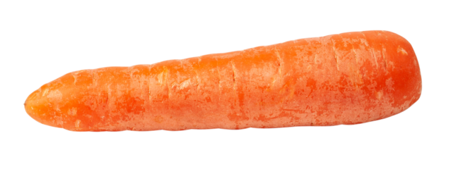 orange carrots isolated