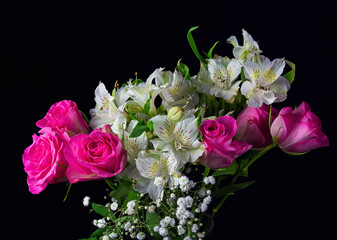 Rose and lily flower isolated on black background. Spring blossom plant, studio photo