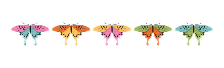 Colorful butterflies set. Interface for programs and applications. Symbol of spring and summer seasons. Zoology and biology, insects. Cartoon flat vector illustrations isolated on white background © Mental Health