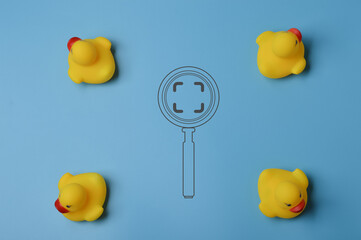 Magnifying glass and toy ducks. Hiring and job vacancy concept.