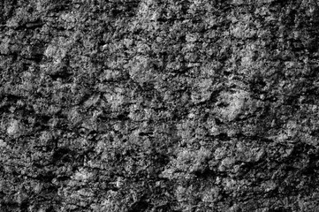 gray background, a close-up of a rock in the photo