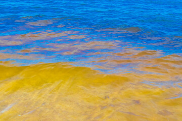 Waves at tropical beach caribbean sea clear turquoise water Mexico.