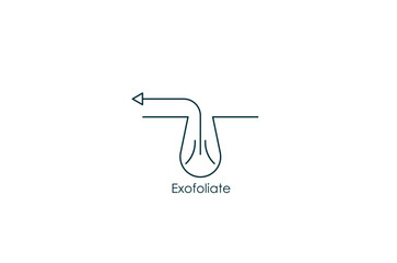 Obraz premium Cleansing Clogged Deep Pore exfoliate icon vector illustration 