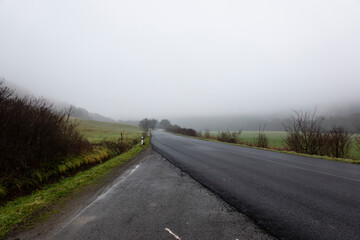 Beautiful nature in the fog with an asphalt road