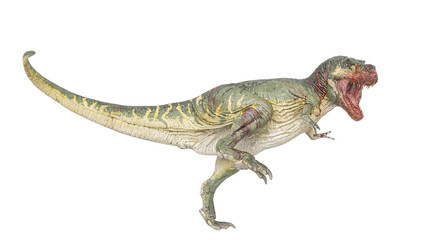 t-rex on blood is walking in white background