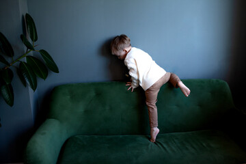 The two years old boy sit in the gteen sofa in the room . Cute kid sit in the back of the coach,...