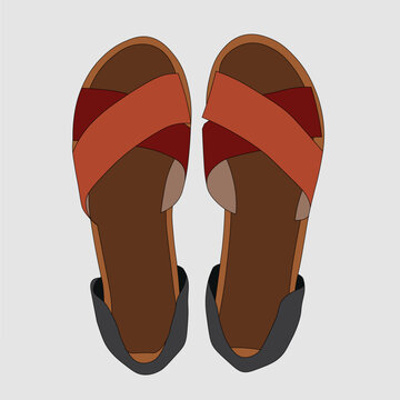 Top view vector illustration of simple female shoes