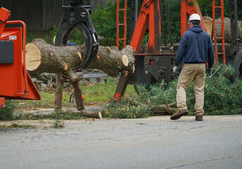 removed tree trunk by crane in residential area
