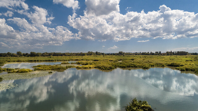panorama estivo nel parco del mincio mantova