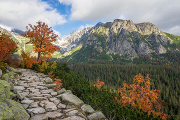 Autumn view of the High Tatras. Popradske Pleso area. Slovakia.