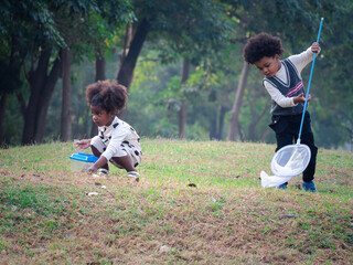 African American boys and girls catch insects in the forest on adventure camping travel trips. Preschool kids catching bugs with net. Adventure kindergarten day trip into wild nature...