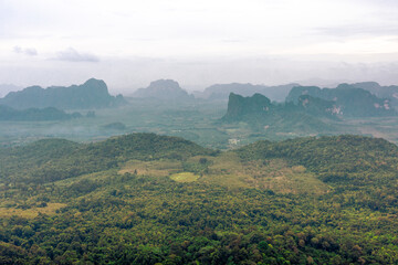 The view of the natural background of the mountain close-up, with blurred fog scattered in the rainy season or the humid climate, with beautiful green trees in the ecological system