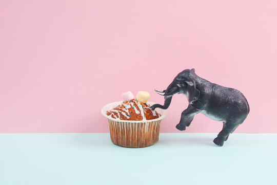 Toy elephant with muffin on pink blue background