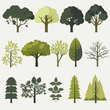 The plants drawing in various shades of green to represent different species of trees and plants, or they depicted in other colors to represent different seasons or stages of growth.
