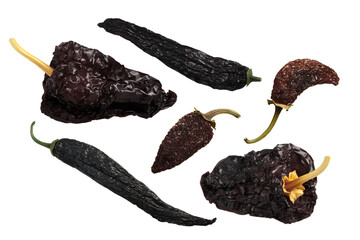 Dried Mexican chile peppers: Pasilla, Ancho Mulato, Chipotle Morita, whole pods isolated png - obrazy, fototapety, plakaty