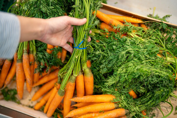 Woman hand picking up organic carrots from a box at Farmer's Market. Healthy diet concept. Grocery...