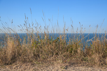 Obraz premium Kanalküste in Nordfrankreich