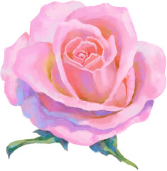 High detailed realistic rose flowers for design. Oil or acrylic digital painting rose	