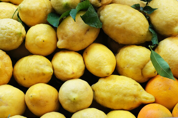 Zitronen aus Amalfi - 560222594