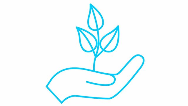 Linear ecology icon. Tree sprout in hand. The blue symbol is drawn gradualaty. Looped video. Concept of ecology care, saving the nature, harvest. Vector illustration isolated on white background.