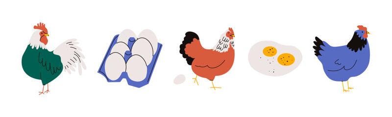 Chicken with eggs. Cartoon hen rooster box fried eggs, farm poultry characters, eco Easter organic concept. Vector set