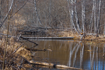 river in winter