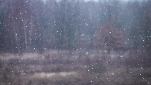 Slow motion of falling snow, blurred background in winter. Natural phenomenon in winter, snow and wind blowing.