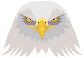 Vector illustration of the head of an American bald eagle. foreground. Vector graphics isolated on white background
