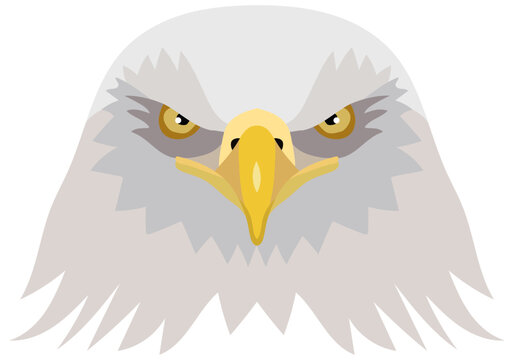 Vector illustration of the head of an American bald eagle. foreground. Vector graphics isolated on white background