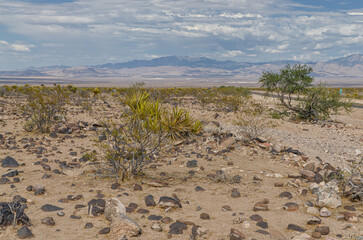 Arizona desert and Wabayuma Peak on historic Route 66 between Oatman and Kingman (Mohave county, AZ)