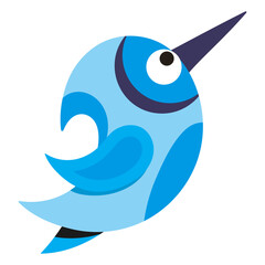Obraz premium Kiwi Bird