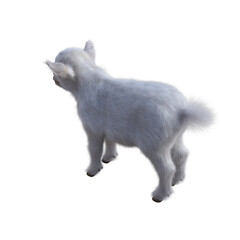 Obraz premium Goat baby character on transparent background. 3d rendering illustration for collage, clipart, composting.