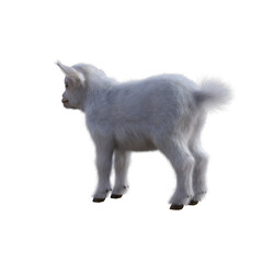 Goat baby character on transparent background. 3d rendering illustration for collage, clipart, composting.