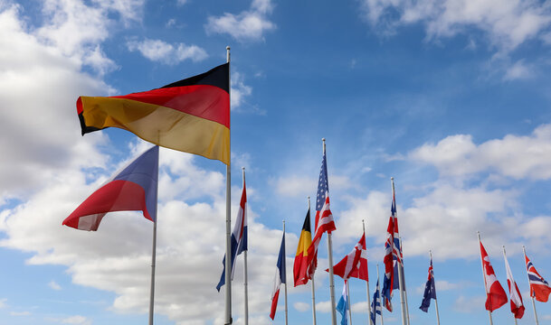 flags of countries waving during the international meeting