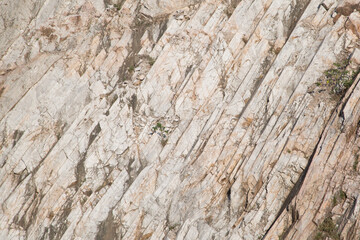 stone wall texture